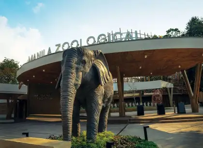 manila zoo entrance with elephant statue