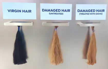 Dove Hair Care Labs 2.0