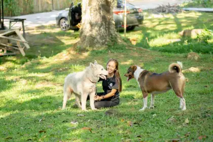 Pawssion Project Foundation's Founder, Malou Perez