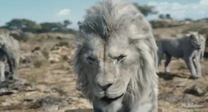 'Mufasa: The Lion King' Film Stills