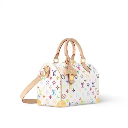 Louis Vuitton OnTheGo Bag in Monogram Multicolor