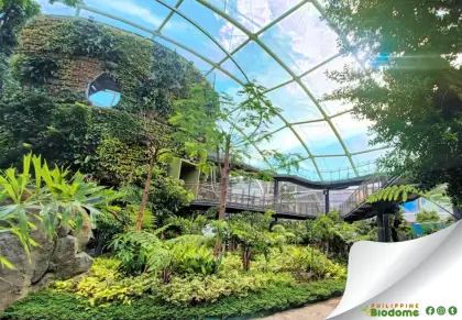 biodome inside scenery with it sgreen enviroment full of trees
