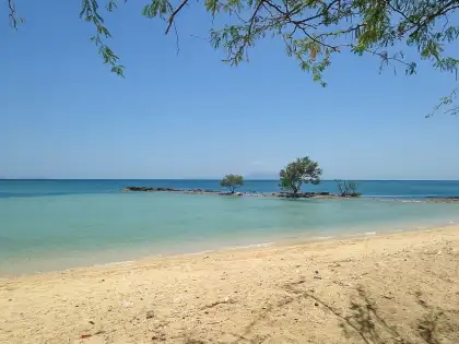 burot beach white sand with the sea and a tree