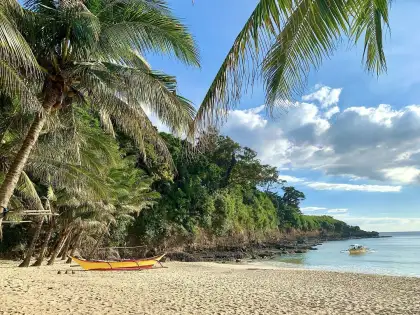 laki beach white sand and coconut tree