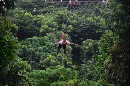 cloud 9 antipolo zipline and trees around it a guy riding the zipline