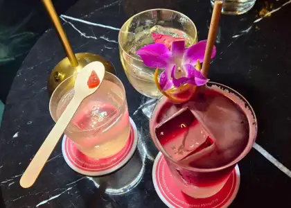 (Clockwise) Polite Provisions, Singing in Poblacion, and Lion 60 Sling