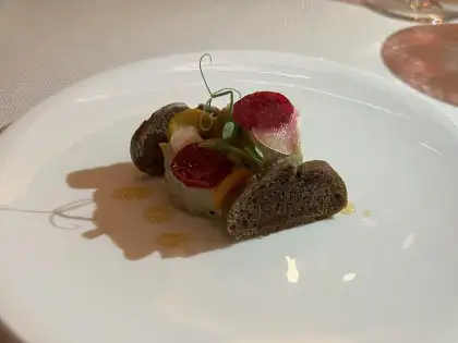 A white plate featuring Foie Gras Terrine