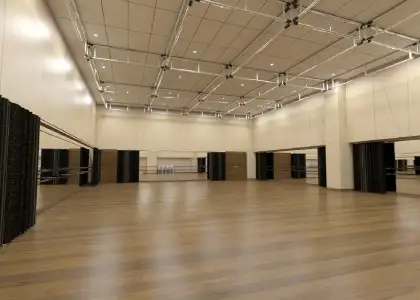 1 Samsung Performing Arts Theater Harlequin Floors