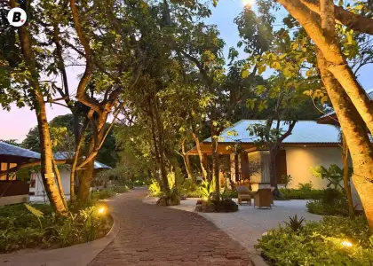 Path to the Sunset Villas at Discovery Coron