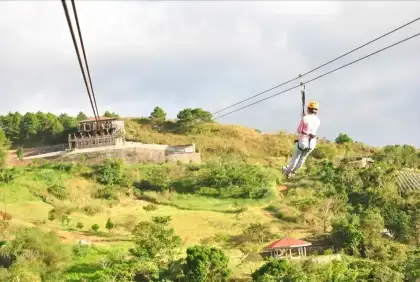 ten cents to heaven zipline with trees around