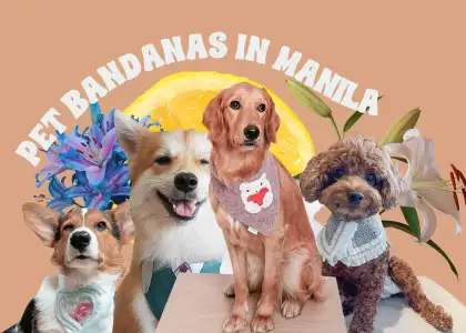 For Pawrents Heres Where to Get Pet Bandanas in Manila 1