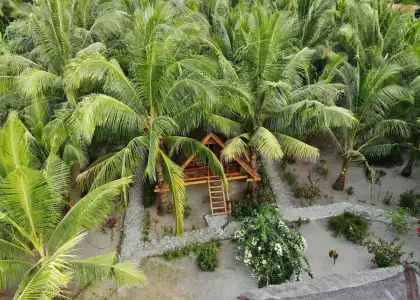 The Philippines Sees Strong Rebound in Travels