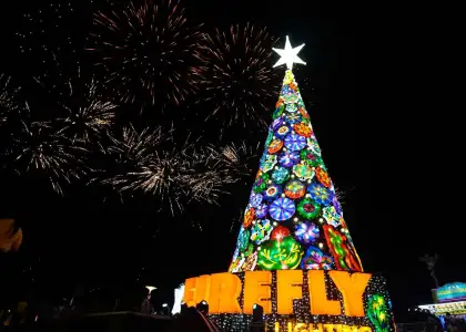 Firefly X Royu Lights up SM by the Bay With a 70 Foot Tall Christmas Tree