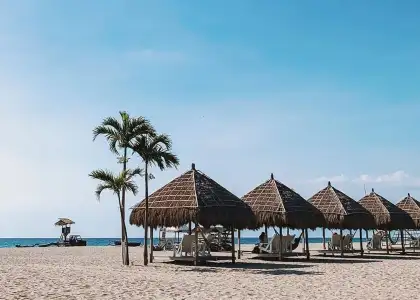 New Find Out How to Work by the Beach at This Resort in Zambales