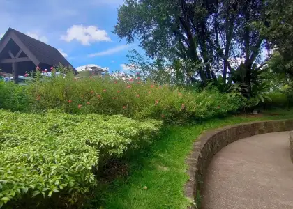 Pasig City Declares Maybunga Rainforest Park as a Permanent Rainforest Park