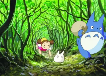 Street Kohi Embroidery