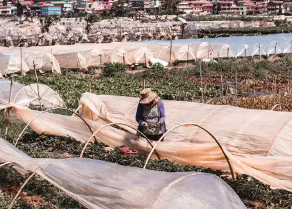 Baguio Travel Requirements featured