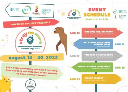 PAW Ssion Project to Hold Week Long Event for International Homeless Animals Day 2022