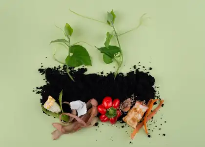 From Food Waste to Fertilizer Bokashi and Vermicomposting Kits in and Near Manila