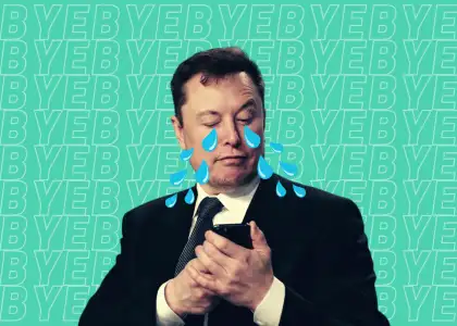 Twitter Alternatives Elon Musk Social Media Other Options