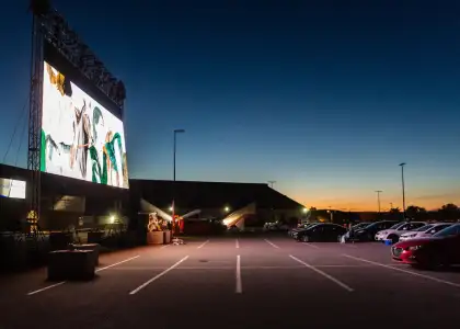 Cinema Under the Stars