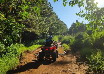 Manila ATV Mountain Trail Adventure