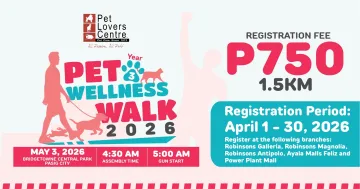 Pet Wellness Walk