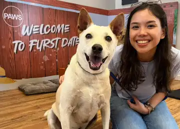 PAWS Launches ‘FURst Date’ Where You Can Have a Playdate with a Rescue Pet