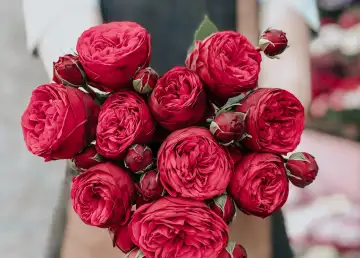 Forget About Clichés: Order a Bouquet on V Day From These Flower Shops in Hong Kong
