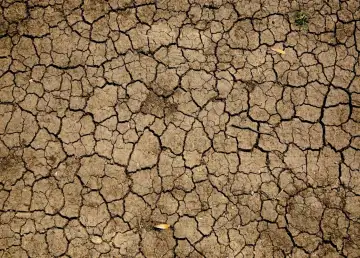 El Niño and La Niña Phenomena: What Are They and Their Effects?