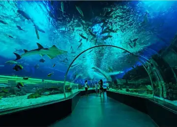 Explore Manila’s Family-Friendly Nature and Science Attractions