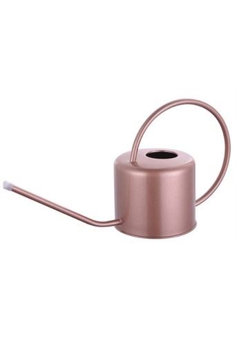 Stainless Watering Pot Rose