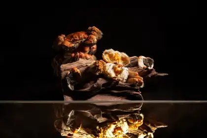 A Dual Celebration of Crab at Inter Continental Grand Stanford Hong Kong 1