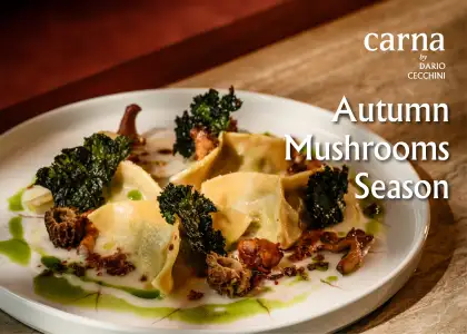 1400x1000 mushroom season 01