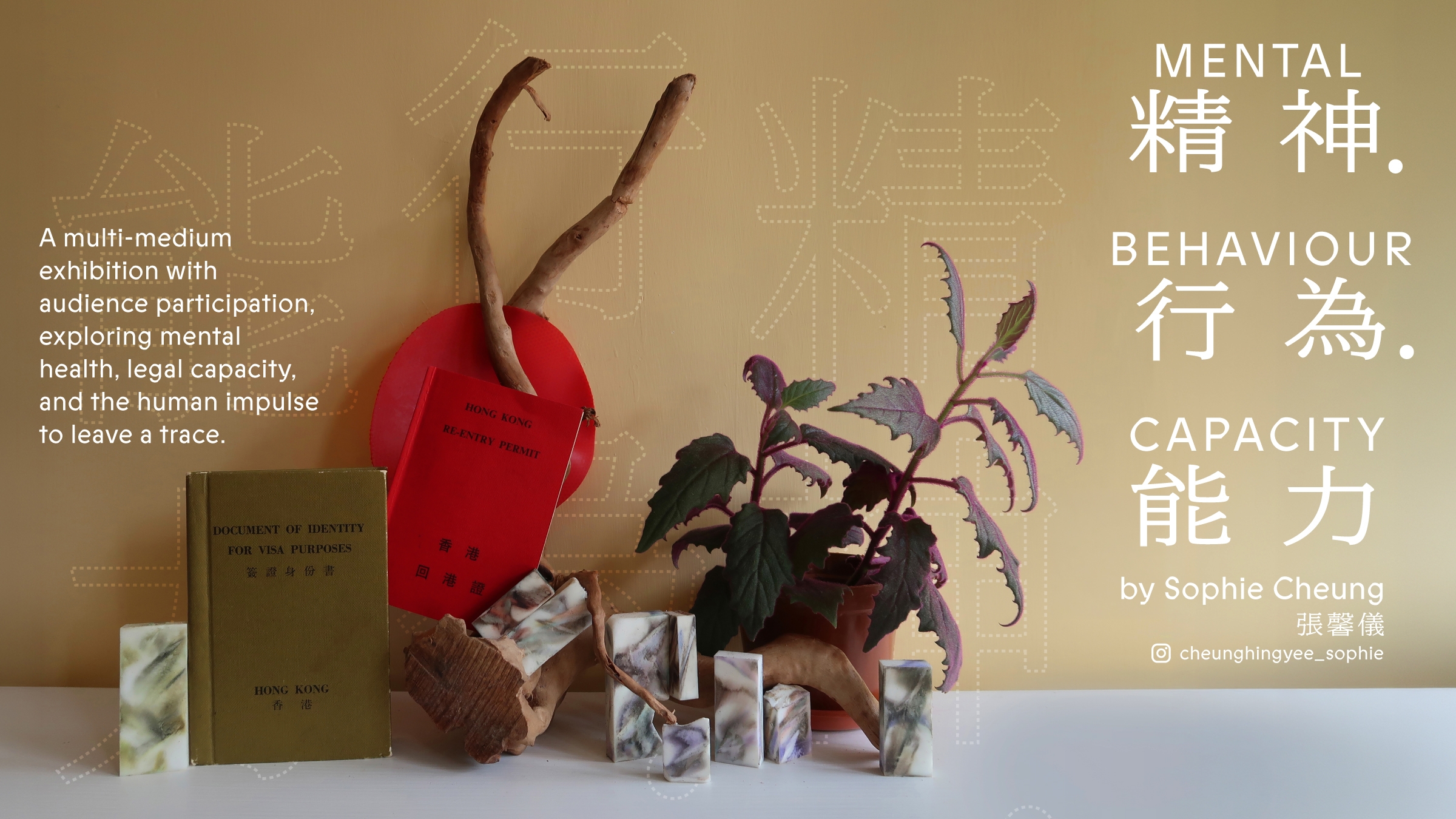 'Mental . Behaviour . Capacity' by Sophie Cheung