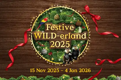 2 Festive WILD-erland at Mandai Wildlife