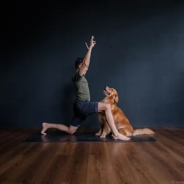 FESTIVE PAWS PLAY WEEKENDS