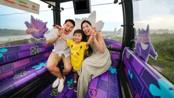 Pokemon Day to Night Adventure