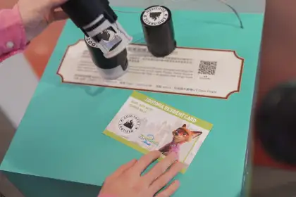 3 Zootopia 2: Zoo-tastic Celebration