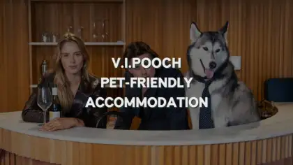 V I Pooch Luxury Pet Friendly Accommodation at Ovolo Hotels