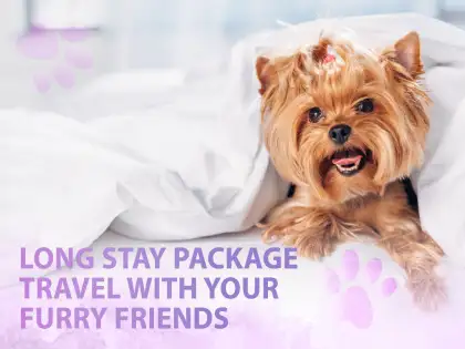 Long Stay Package Travel with Your Furry Friends