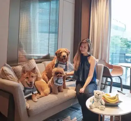Fur Ever Friends Getaway 50 Off at Dorsett Kai Tak Hong Kong