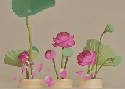 2 Still Blooms Photography Exhibition