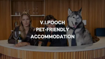 V I Pooch Luxury Pet Friendly Accommodation at Ovolo Hotels