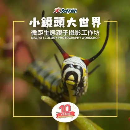 6 Macro Ecology Photography Workshop