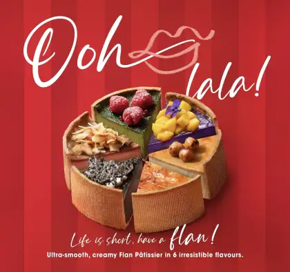 COCO Flan Patisser web m h
