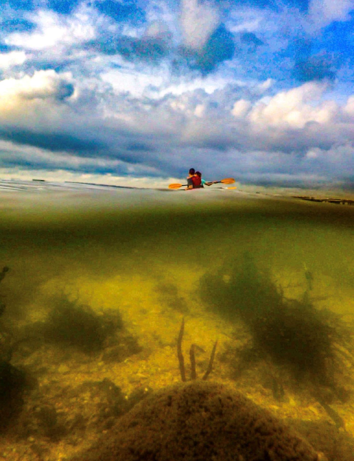 Anemone Trail Kayakasia