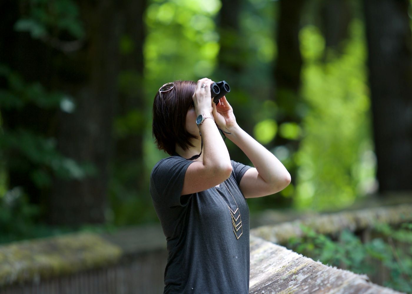 Bird Watching Coney Island Singapore