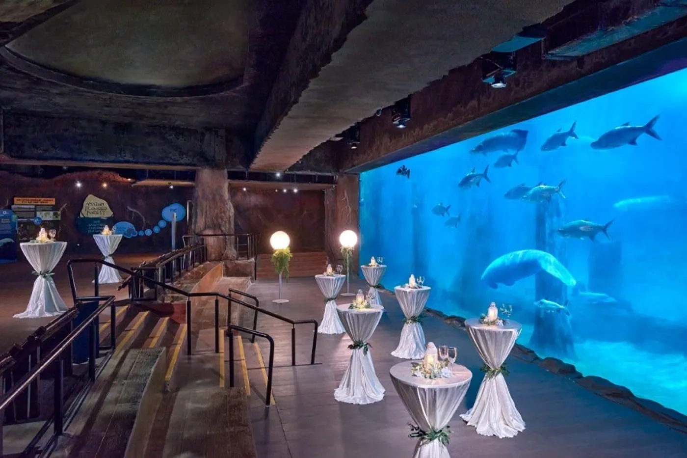 Mandai Wildlife Reserve 3