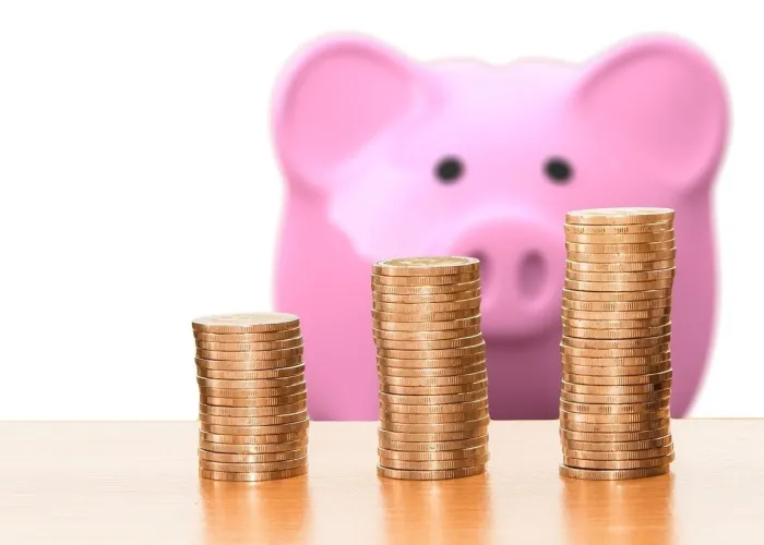 Are Your Expenses a Lifestyle Choice or a Necessity